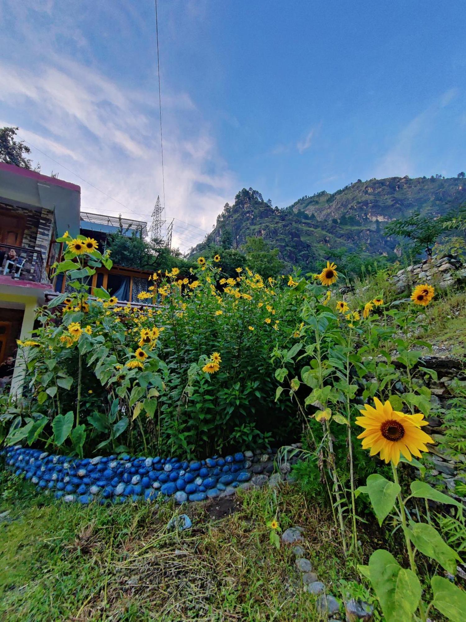 Hotel Flipsyde Retreat Kasol Exteriér fotografie