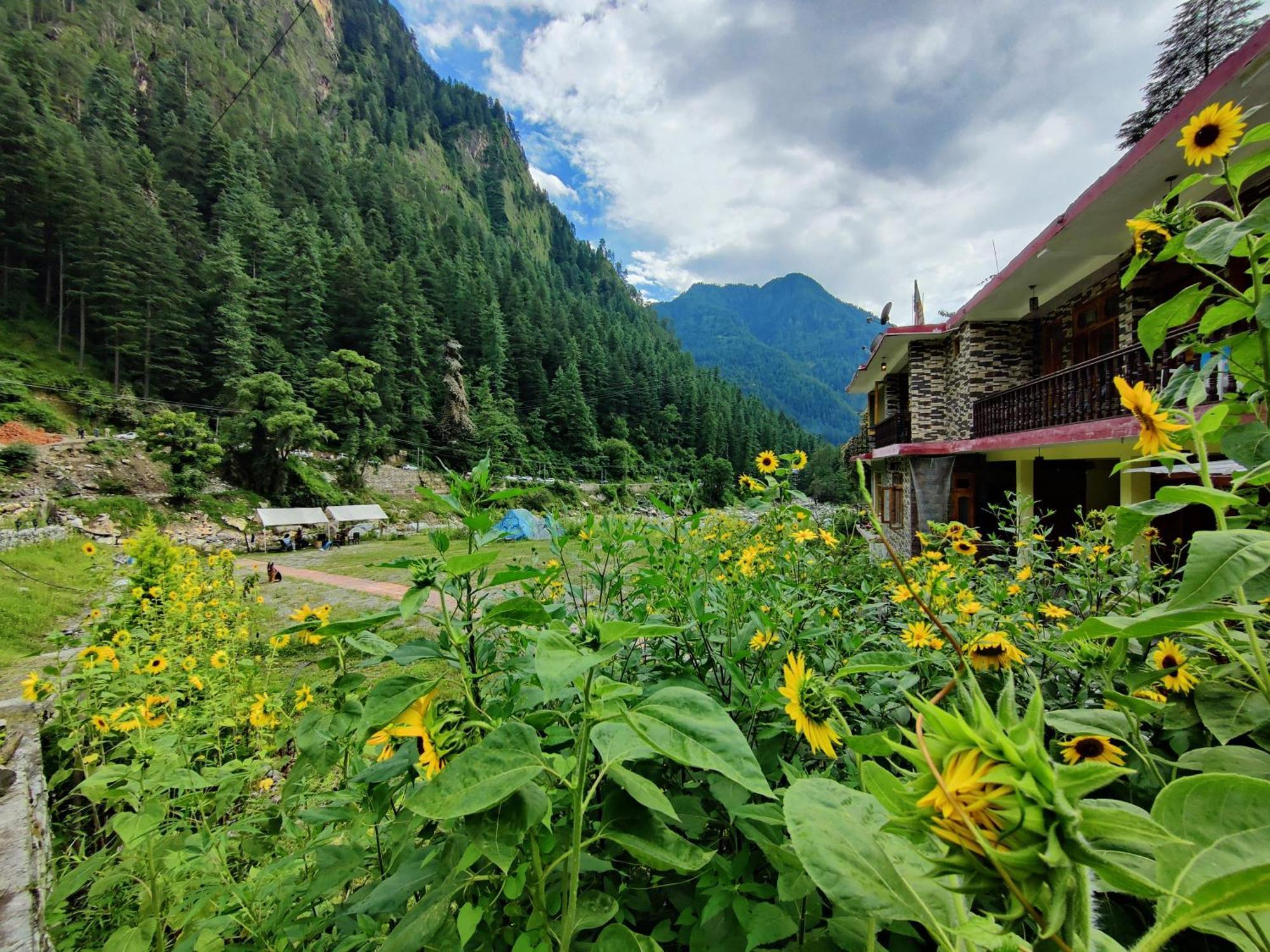 Hotel Flipsyde Retreat Kasol Exteriér fotografie