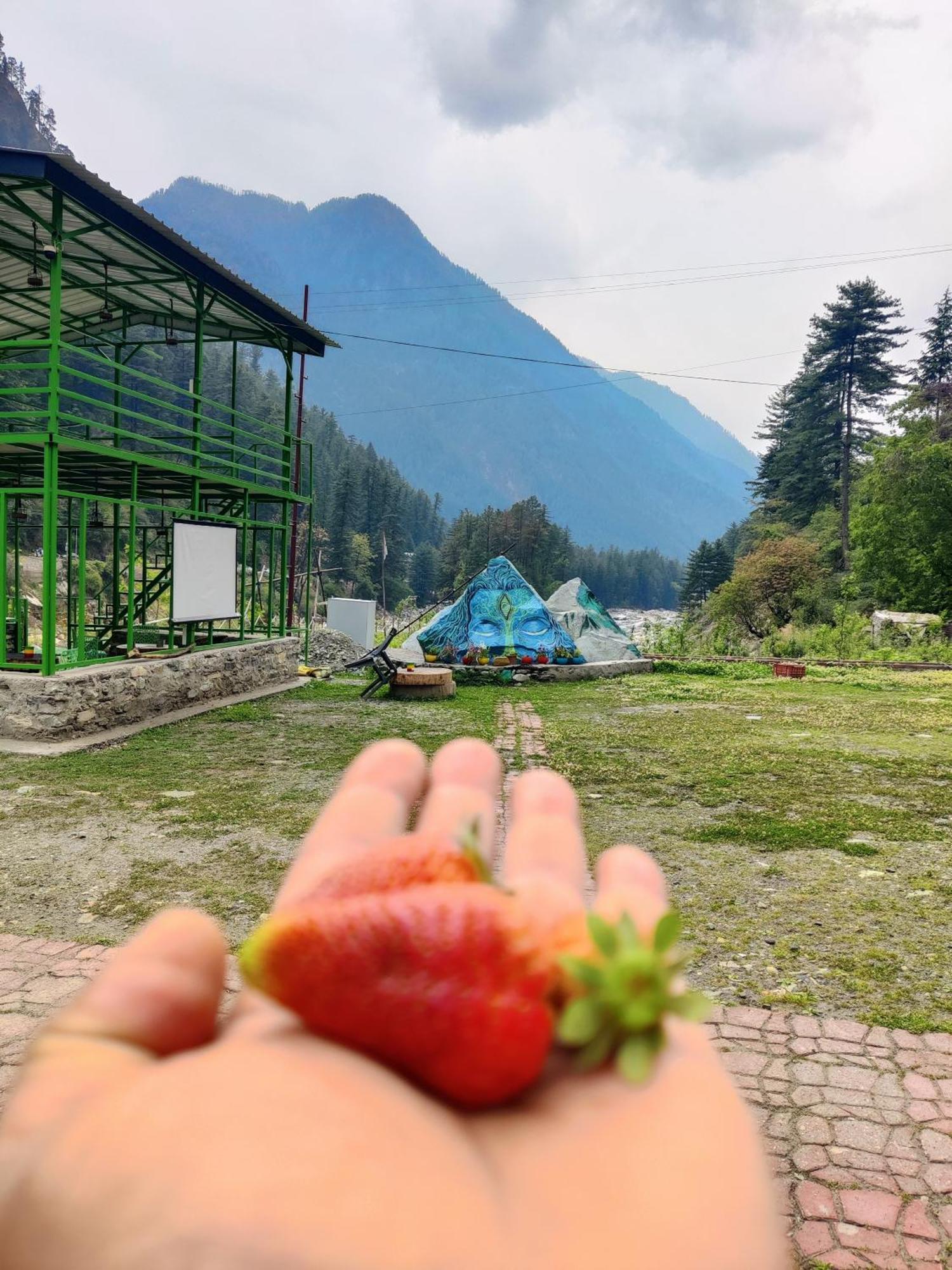 Hotel Flipsyde Retreat Kasol Exteriér fotografie
