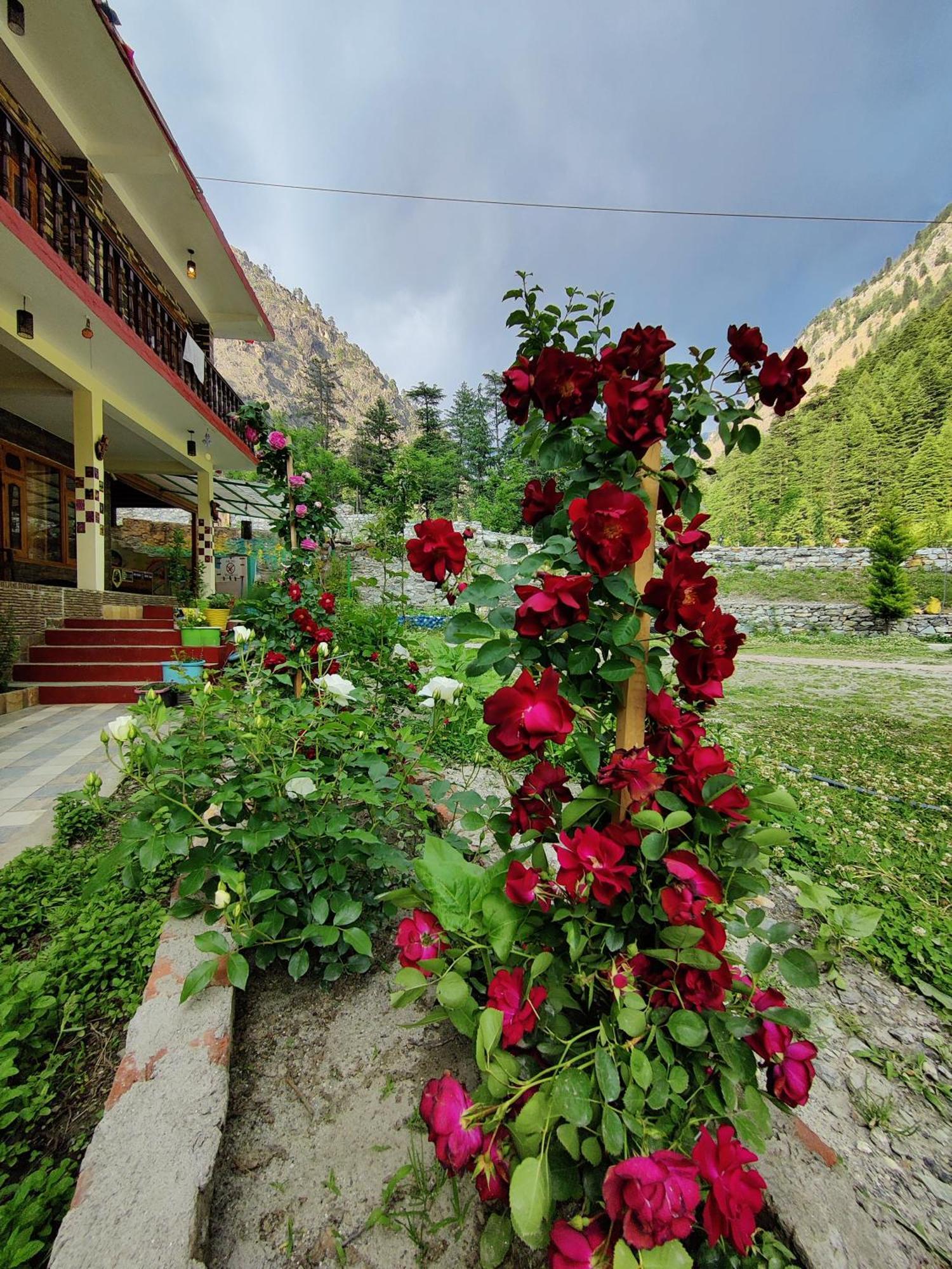 Hotel Flipsyde Retreat Kasol Exteriér fotografie