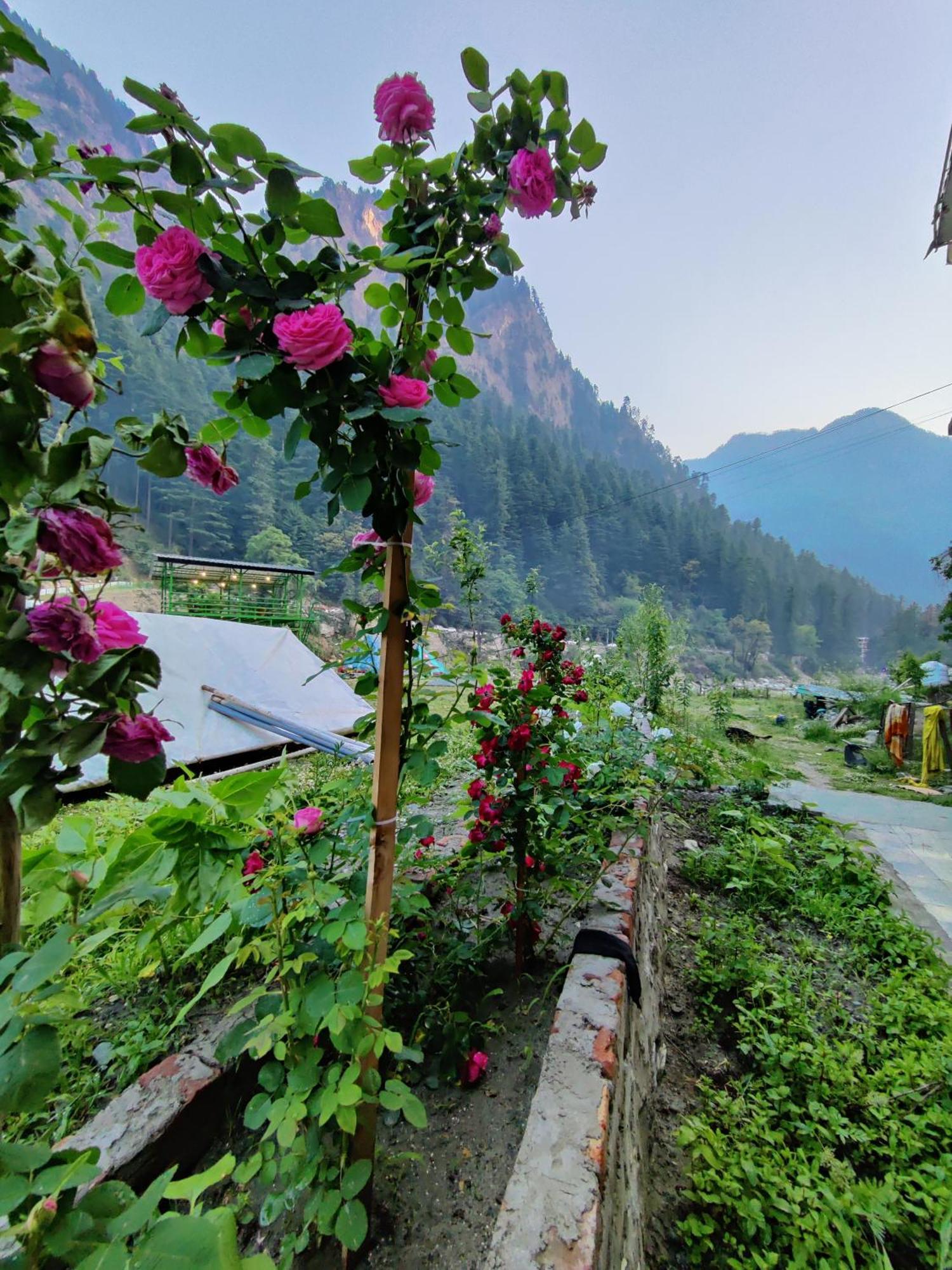 Hotel Flipsyde Retreat Kasol Exteriér fotografie